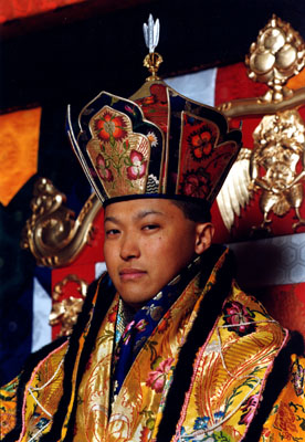 1995 Shrine Portrait